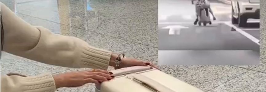 广东消委会发布电动旅行箱测试报告及消费指引