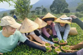广东珠海淇澳-担杆岛保护区顺利开展科普学堂人才建设培训交流